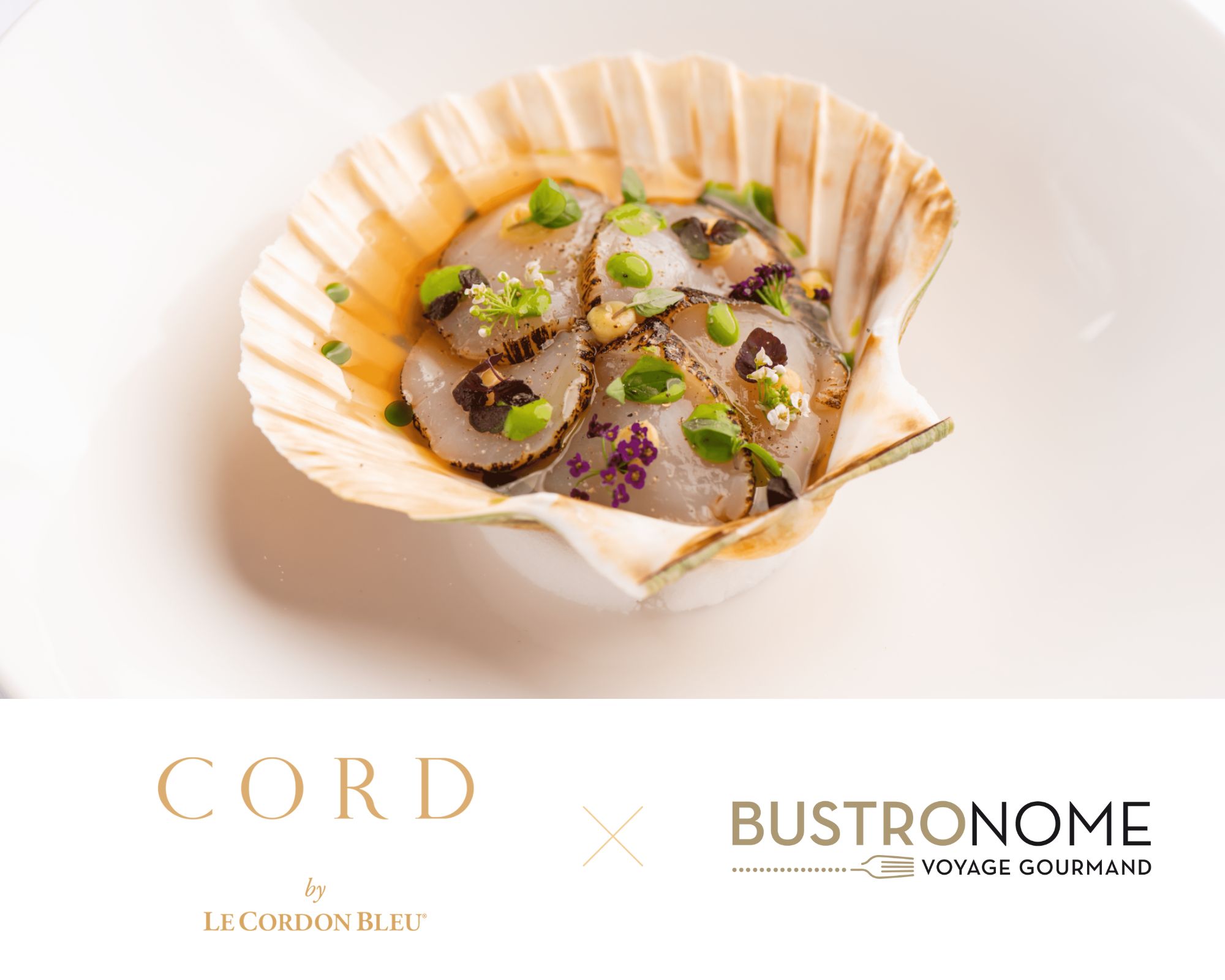 Cord by Le Cordon Bleu x Bustronome London LUNCH with wine pairing £109